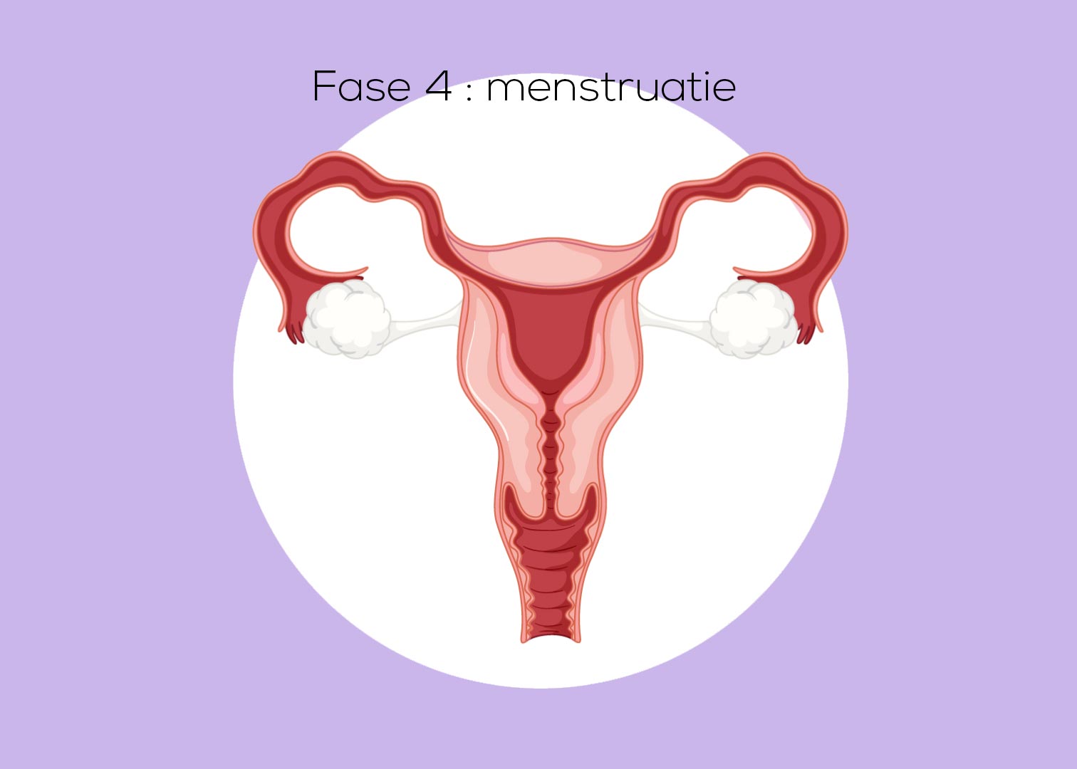 cyclus fase 4 menstruatie